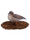 Гусь гуменник Softplast 3D (GS-3D), 10 штук